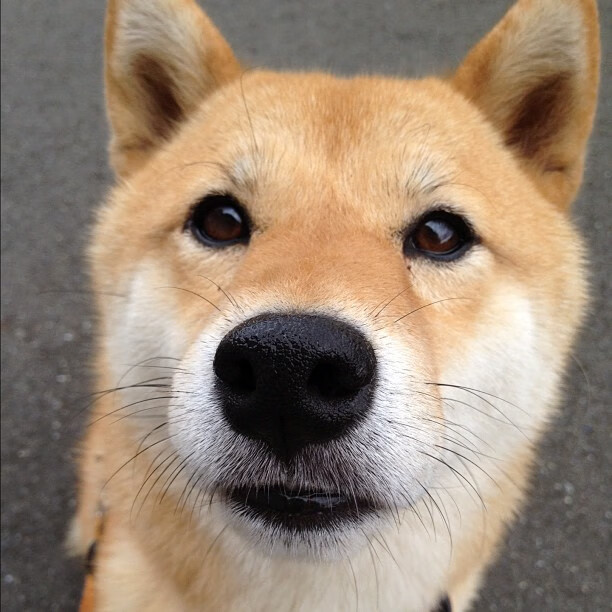 排名地震！深圳绝杀快船，改写世界篮球版图的40秒