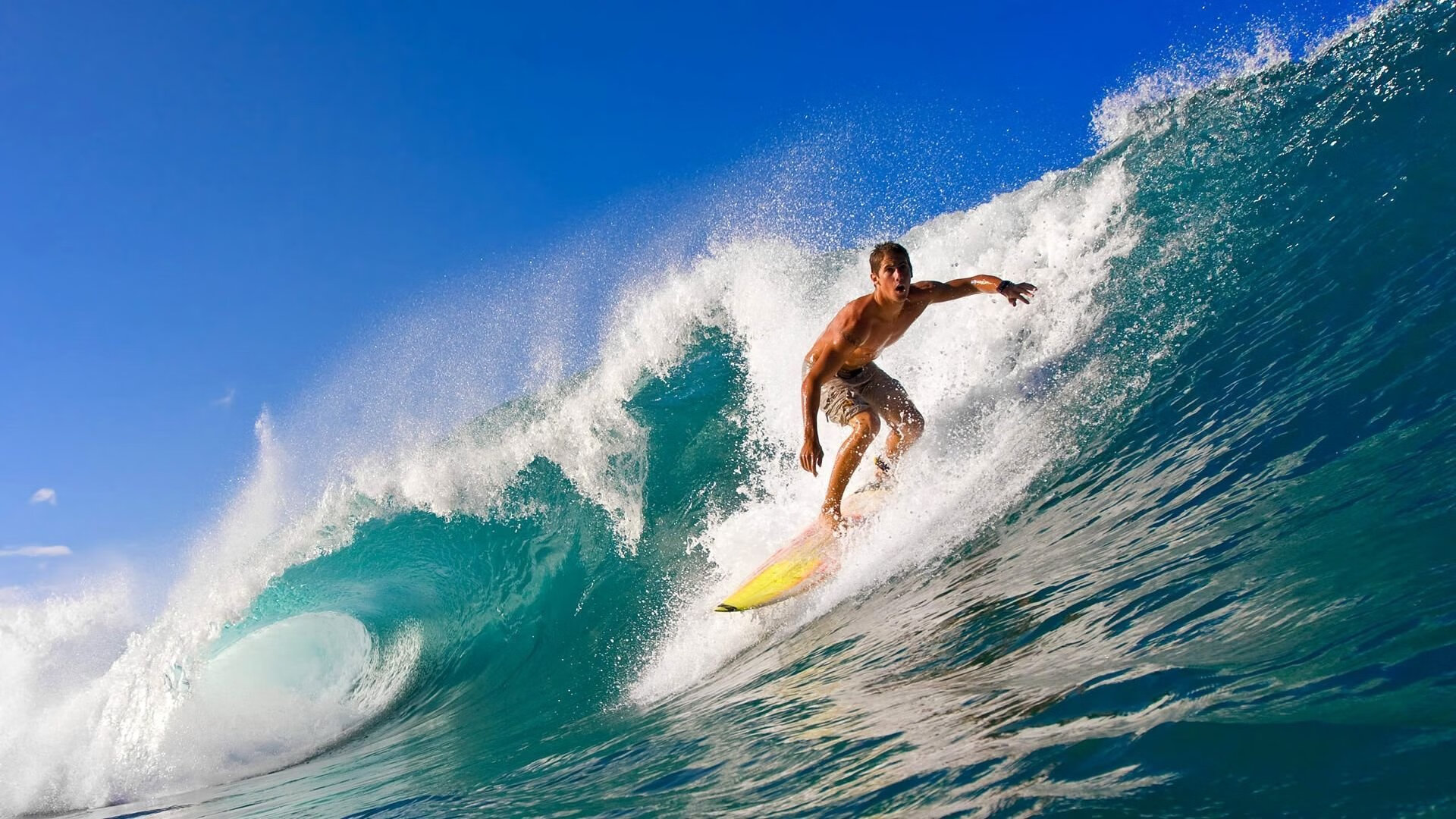保罗的暗能量，当统计数据沉默，领导力在喧嚣中轰鸣