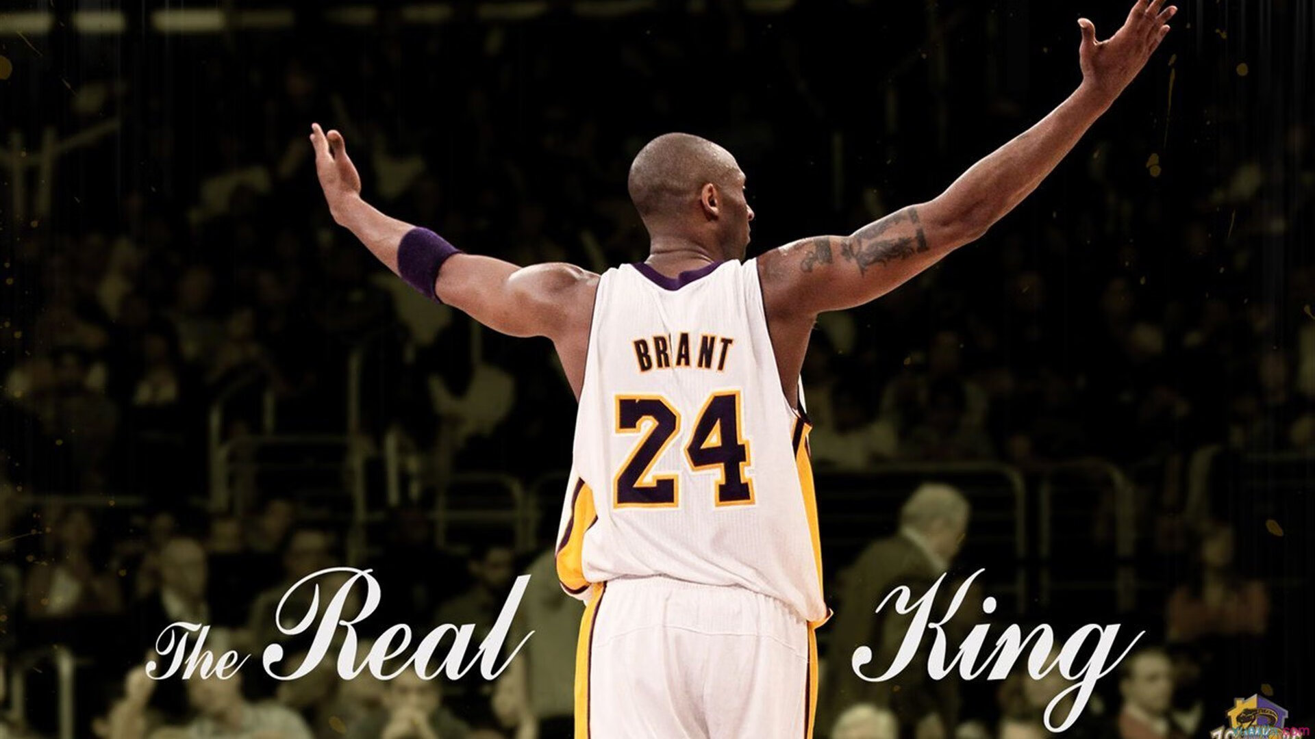 布鲁诺加冕之夜,F1收官战惊现王者级驾驭,一役改写命运与历史